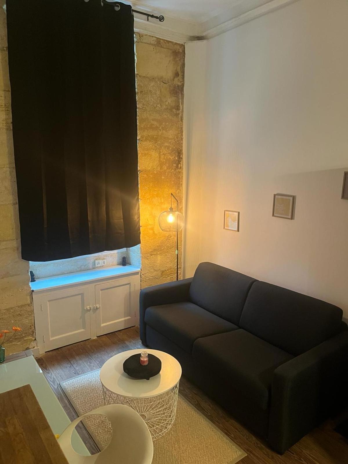 Bel Appartement Avec Mezzanine En Plein Centre De ボルドー エクステリア 写真