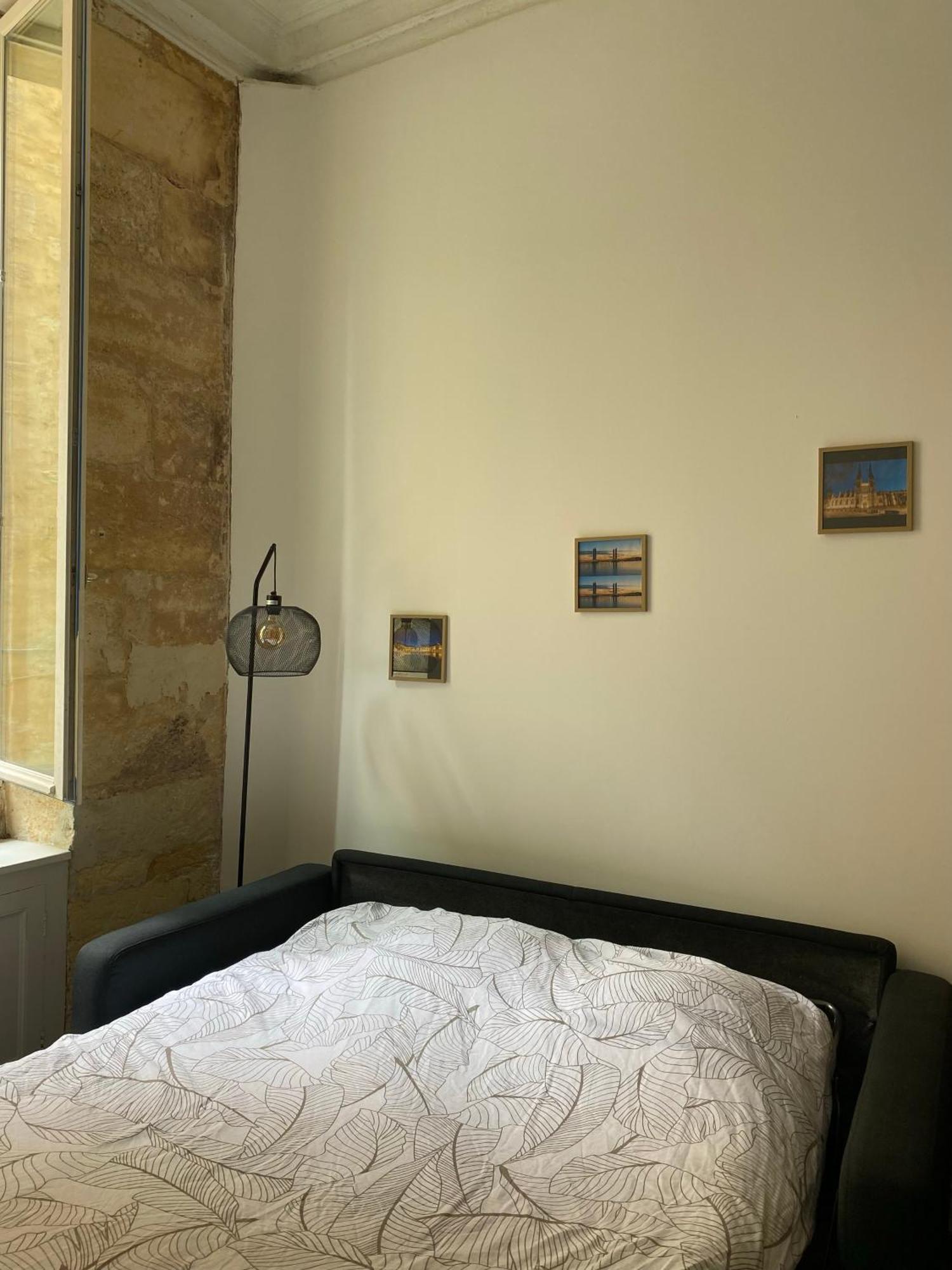 Bel Appartement Avec Mezzanine En Plein Centre De ボルドー エクステリア 写真